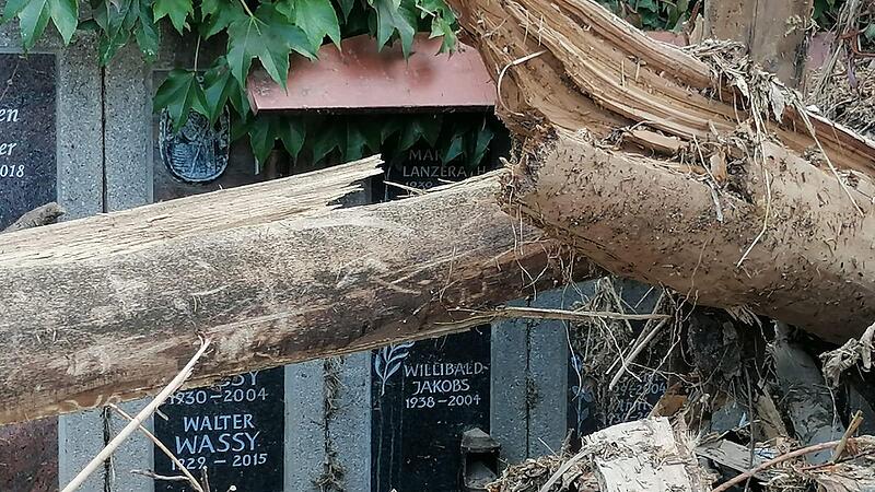 Auch vor dem Friedhof machte die Zerstörung nicht halt. Auch vor dem Friedhof machte die Zerstörung nicht halt.