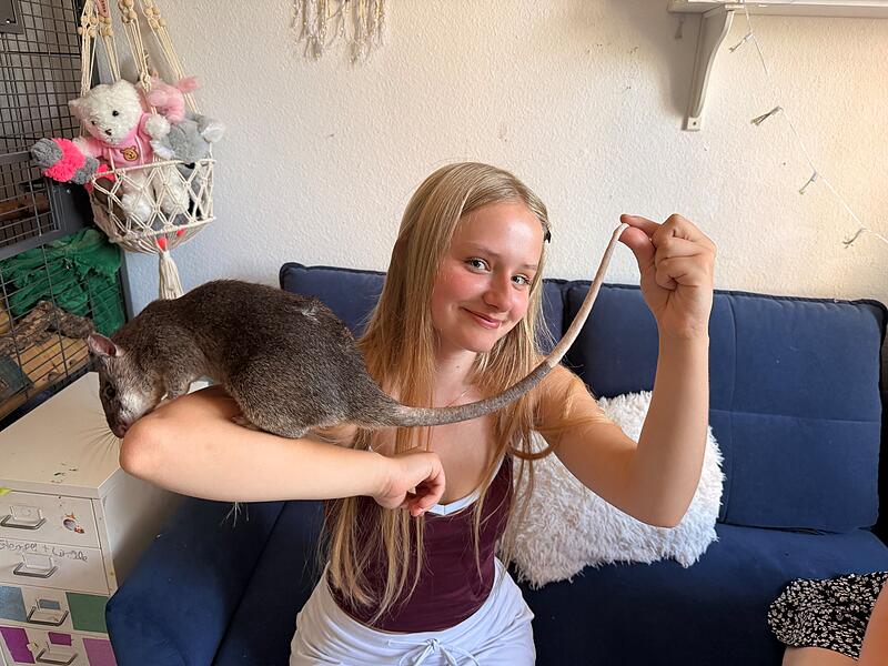 Ratte Schon seit sie neun Jahre alt ist, besitzt Amanda Mai ihre Ratte "Bubi". Dank ihrem pelzige Nage-Haustier ging die 17-Jährige auf Social Media viral.