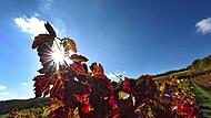 Herbst in Bayern Herbst in Bayern