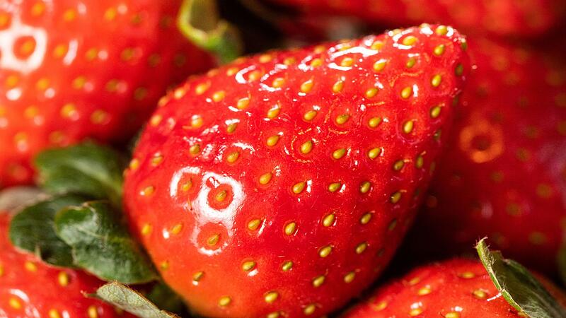 Erdbeeren
