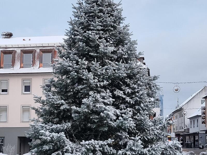 Leserfotos Erlangen-H&ouml;chstadt