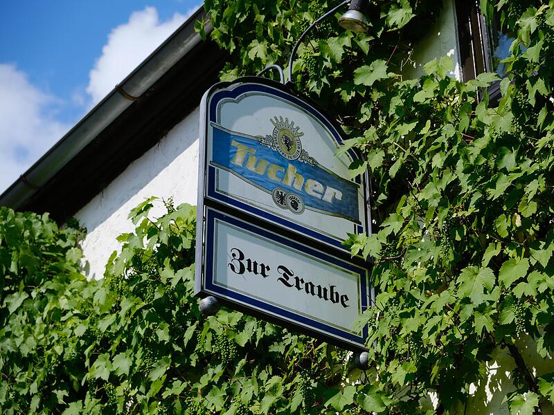 An der Fassade der &bdquo;Traube&ldquo; gedeihen die Weintrauben.