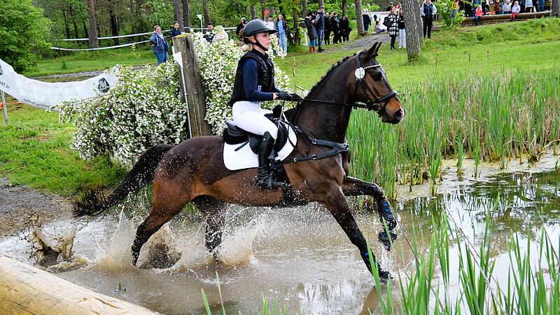 Bayerische und Fränkische Meisterschaft beim RFV Sulzthal