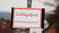 Die Geflügelpest kann jederzeit ausbrechen. Die Geflügelpest kann jederzeit ausbrechen.