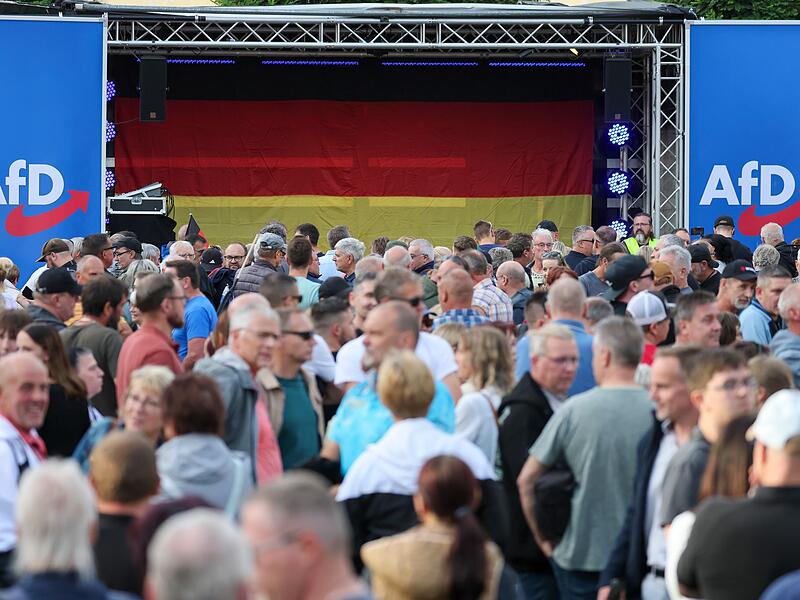 Wahlkampf Sachsen-Anhalt - AfD