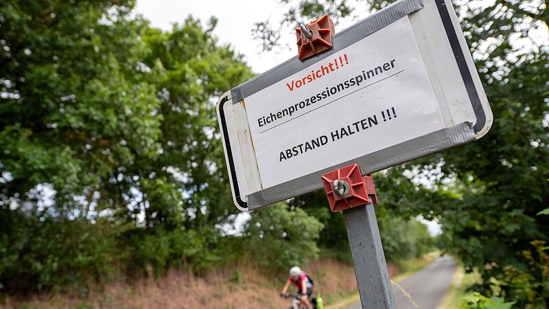 Eichenprozessionsspinner