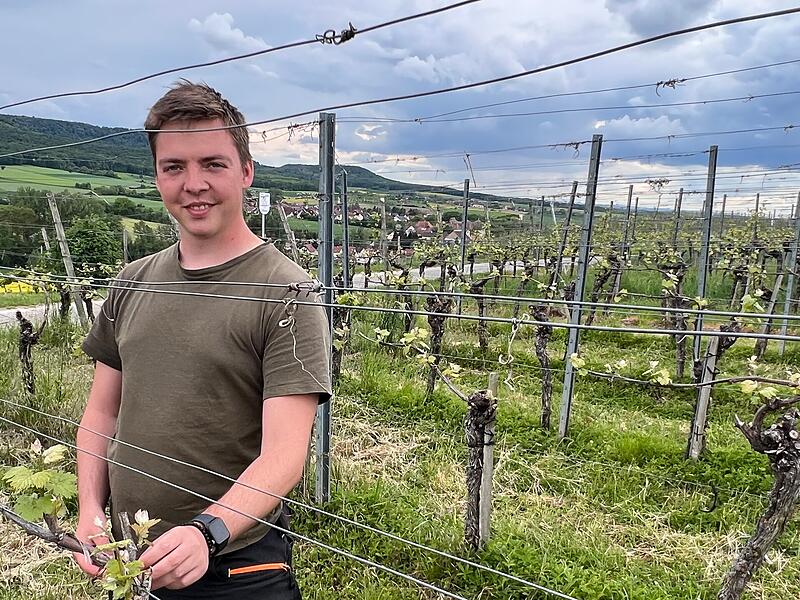 Bericht "Winzerkrise"