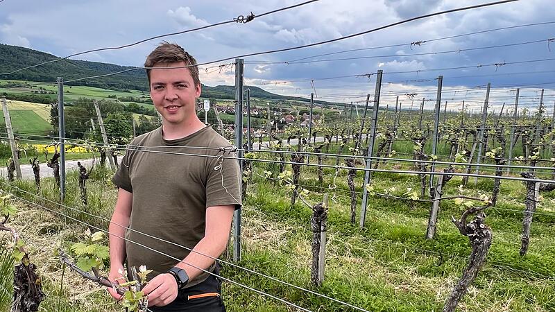 Bericht "Winzerkrise" Bericht "Winzerkrise"