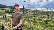 Bericht "Winzerkrise"