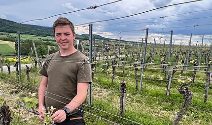 Bericht "Winzerkrise" Bericht "Winzerkrise"