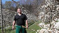 Blickt optimistisch auf das Kirschenjahr 2022: Elias Schmitt, Gartenbautechniker und Leiter des Obstinformationszentrums Fr&auml;nkische SchweizForchheim & Fr&auml;nkische Schweiz