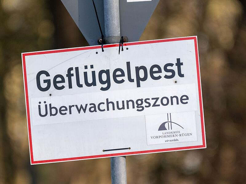 Vogelgrippe