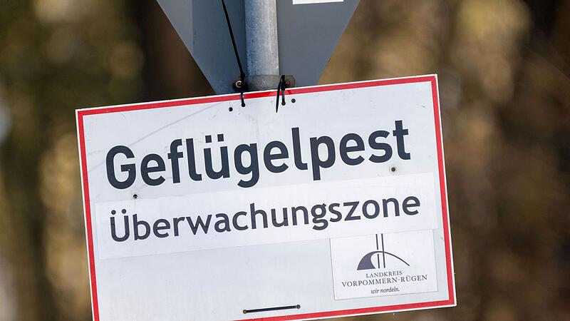 Vogelgrippe
