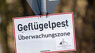 Vogelgrippe