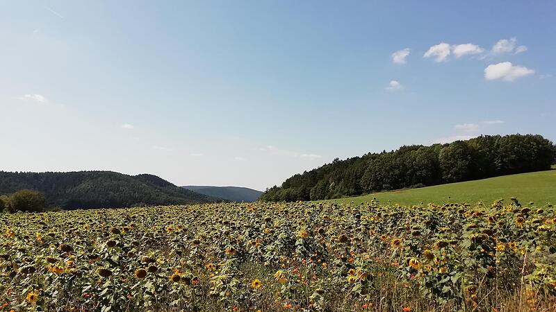 Im Kulturlandschaftsprogramm hatte der Landwirt seine Flächen angemeldet.