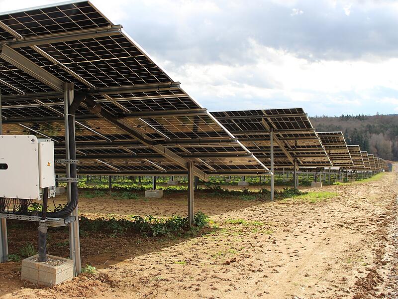 Ende März geht der Solarpark Waizenbach ans Netz. Es ist das erste Projekt der Bürgerenergiegenossenschaft des Landkreises Bad Kissingen.Ende März geht der Solarpark Waizenbach ans Netz. Es ist das erste Projekt der Bürgerenergiegenossenschaft des Landkreises Bad Kissingen. Ende März geht der Solarpark Waizenbach ans Netz. Es ist das erste Projekt der Bürgerenergiegenossenschaft des Landkreises Bad Kissingen.Ende März geht der Solarpark Waizenbach ans Netz. Es ist das erste Projekt der Bürgerenergiegenossenschaft des Landkreises Bad Kissingen.