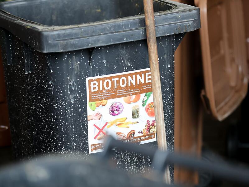 Inhalt von Biotonnen wird untersucht