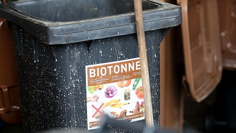 Inhalt von Biotonnen wird untersucht