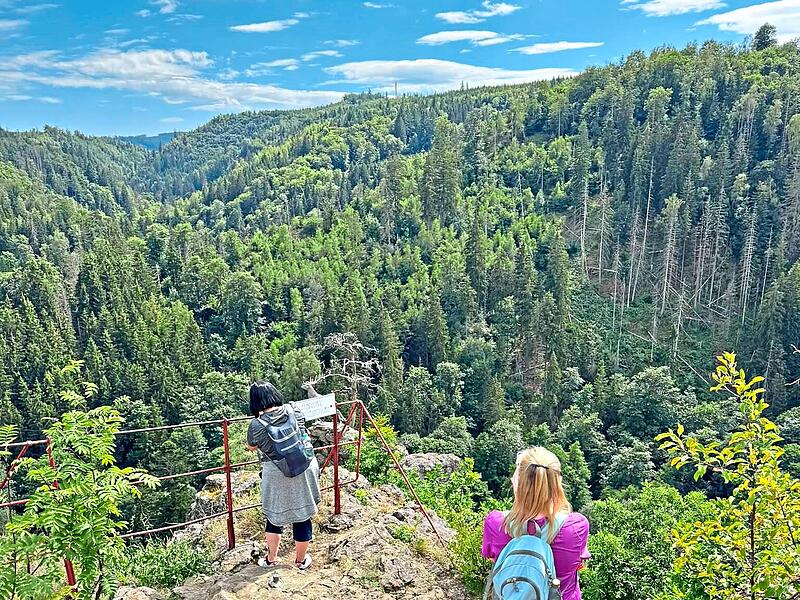 Frankenwald-Insta-Hikes werben f&uuml;r nachhaltige Reisen in die Natur Frankenwald Tourismus