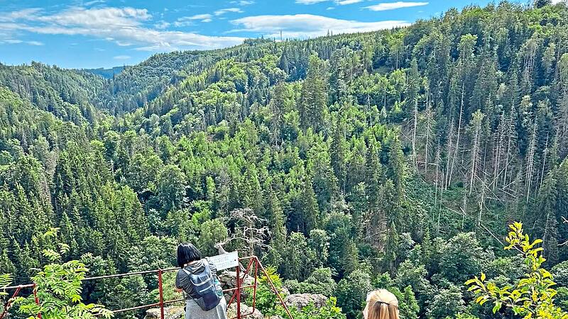 Frankenwald-Insta-Hikes werben für nachhaltige Reisen in die Natur Frankenwald Tourismus Frankenwald-Insta-Hikes werben für nachhaltige Reisen in die Natur Frankenwald Tourismus