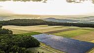 Fast vier Millionen Euro haben die Stadtwerke in den Solarpark Poxstall investiert.Forchheim & Fränkische Schweiz