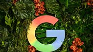Google-Logo Google-Logo