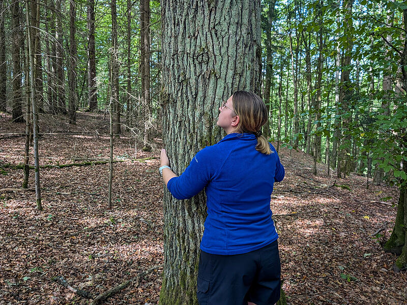 Selbstversuch: Waldbaden in der Fr&auml;nkischen SchweizForchheim & Fr&auml;nkische Schweiz