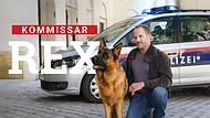 Kommissar RexForchheim & Fr&auml;nkische Schweiz