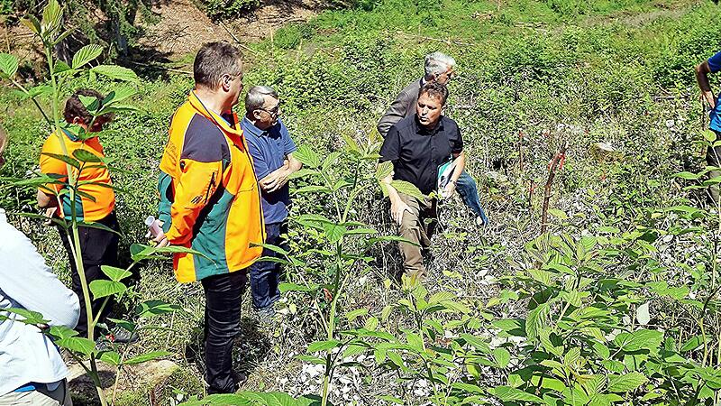 Zarte Pfl&auml;nzchen wollen gepflegt sein: Dar&uuml;ber sprachen (von rechts) Sven Kaps, Heiko St&ouml;lzner (vorne), MdL Steffen Vogel, stellvertretender Landrat Oskar Ebert, Martin Neumeyer und Margret Schneider.