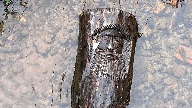 Während der Gewässerreinigungsaktion fanden die Bad Brückenauer Petrijünger auch diese Holzbildhauerarbeit inmitten des Flusses Sinn.