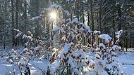 Selbst auf den h&ouml;chsten H&ouml;hen der Fr&auml;nkischen Schweiz gibt es seit 2010 Schnee nur &uuml;ber der magischen Marke von 500 Metern Seeh&ouml;he.Forchheim & Fr&auml;nkische Schweiz
