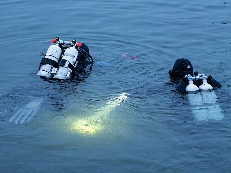 Dreikönigstauchen im Bodensee