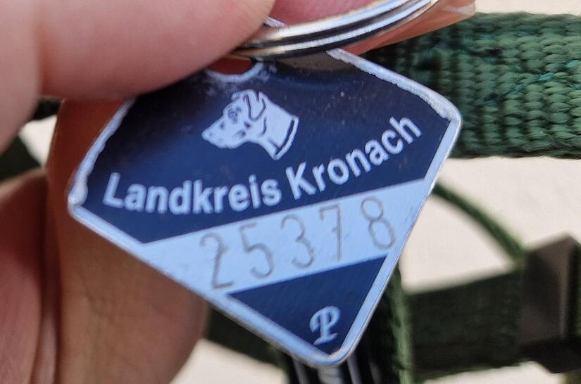 Eine Plakette zeigt an, dass der Vierbeiner angemeldet ist.