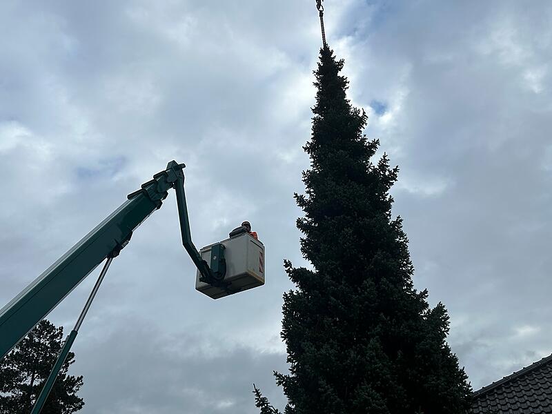 Unterwegs mit dem Coburger Weihnachtsbaum