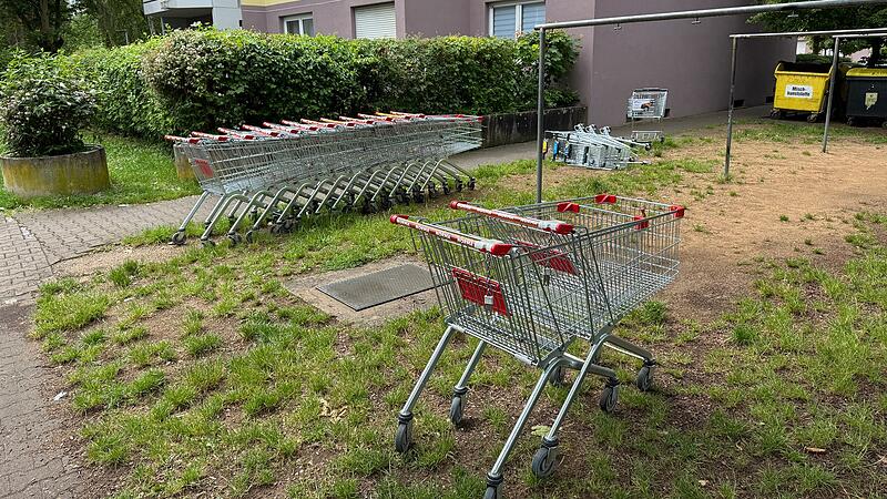 Diese Ansammlung an Einkaufsw&auml;gen hat unser Redakteur per Zufall in Forchheim entdeckt.