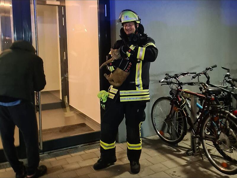 Erlanger Feuerwehr rettet Katze