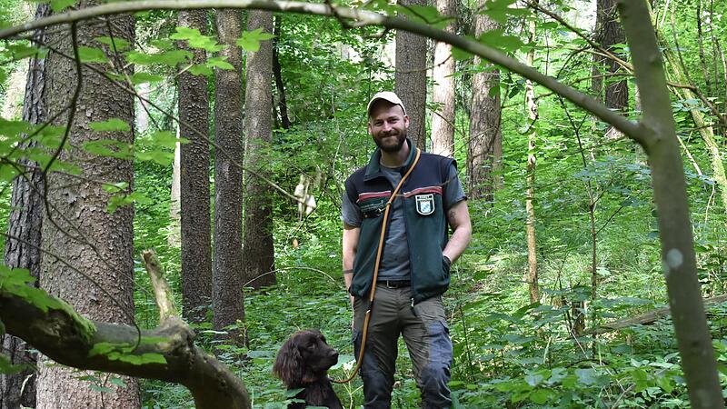 F&ouml;rster Henry Preu&szlig; streift durch einen Wald bei Oberr&uuml;sselbach &ndash; den er gerne als Vorzeigebeispiel pr&auml;sentiert.Forchheim & Fr&auml;nkische Schweiz