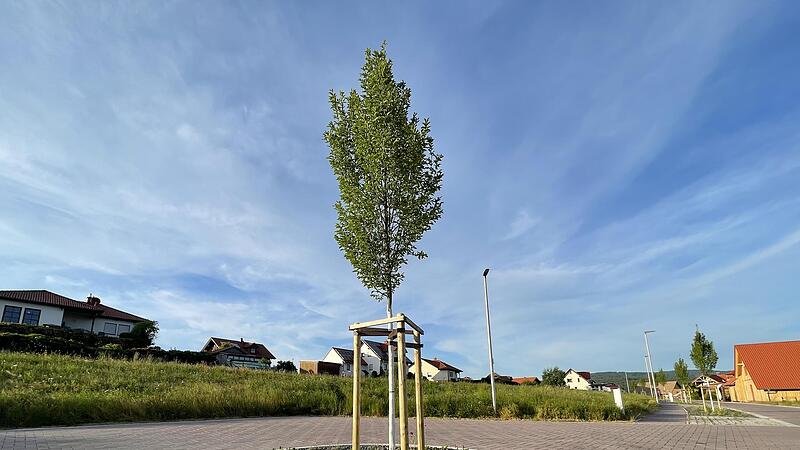 In Neubaugebieten (wie hier in Breitenbach/Mitgenfeld) müssen die bayerischen Gemeinden die Frage der Stellplätze künftig selbst regeln. Der Freistaat macht ab Oktober keine eigenen Vorgaben mehr. In Neubaugebieten (wie hier in Breitenbach/Mitgenfeld) müssen die bayerischen Gemeinden die Frage der Stellplätze künftig selbst regeln. Der Freistaat macht ab Oktober keine eigenen Vorgaben mehr.