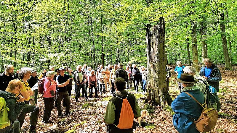 Waldbegehung zum Tag des Baumes: Hans Stark und Florian Tully bei der Information der zahlreichen Teilnehmer.