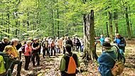 Waldbegehung zum Tag des Baumes: Hans Stark und Florian Tully bei der Information der zahlreichen Teilnehmer.