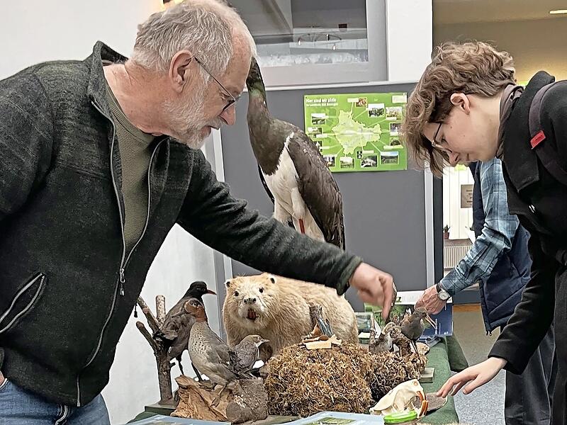 Der Bund Naturschutz im Landkreis Bad Kissingen informierte im Foyer der Georgi-Kurhalle &uuml;ber den Artenschutz.
