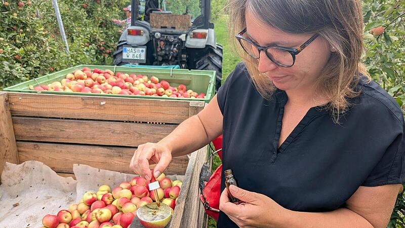 Franziska Endres Weikihof