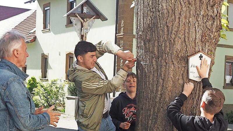 Sch&uuml;ler helfen tatkr&auml;ftig beim Anbringen der Erinnerungstafeln an den Linden mit.