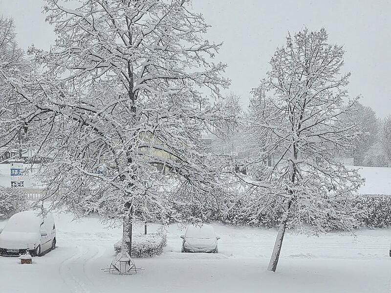 Schnee in Kulmbach: Die sch&ouml;nsten Leserfotos