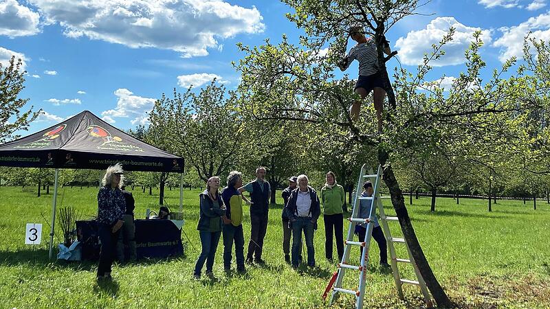 Zum Tag der Streuobstwiese am 25. April 2025 sind im Landkreis Forchheim vom 25. April bis zum 4. Mai 2025 viele Aktionen zum Thema Streuobst geplant.