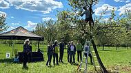 Zum Tag der Streuobstwiese am 25. April 2025 sind im Landkreis Forchheim vom 25. April bis zum 4. Mai 2025 viele Aktionen zum Thema Streuobst geplant.