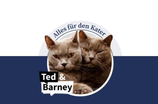 Die Kater Ted und Barney &uuml;ber ihr Leben als Hauskatzen.