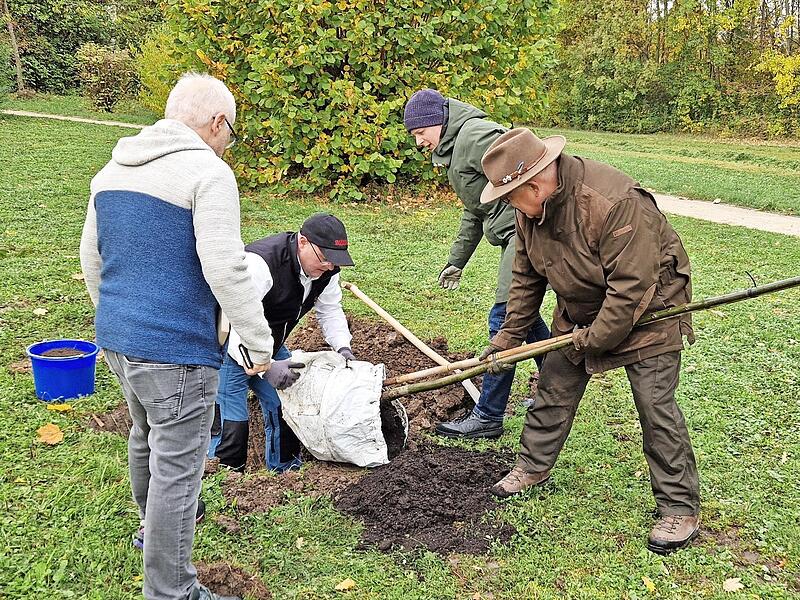 Firmen und Privatleute haben Bäume für den Bad Rodacher Familienwald gestiftet, die nun gepflanzt wurden.