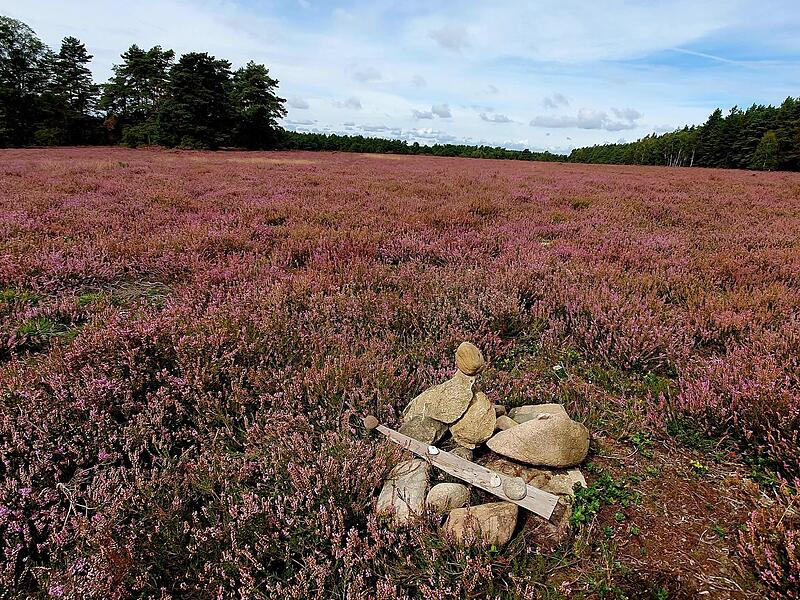 Die Heide im Tiefental