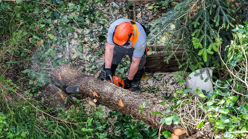 Arbeiten im Wald sind sehr gefährlich, die notwendige Schutzausrüstung oft lebensrettend. Arbeiten im Wald sind sehr gefährlich, die notwendige Schutzausrüstung oft lebensrettend.